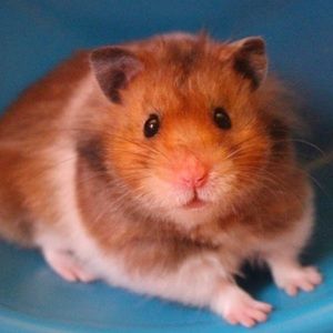 Meet your Posher, Lydia